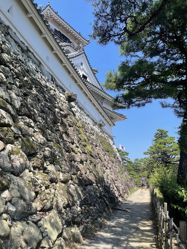 Kochi Castle 4