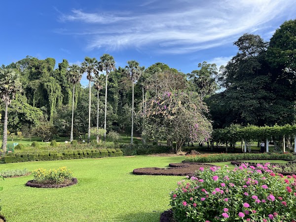 Royal Botanic Gardens, Peradeniya 4