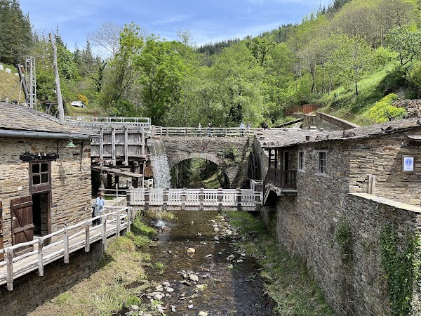 Mills Museum Mazonovo 1