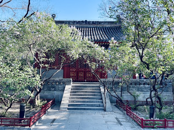 Fayuan Temple 5