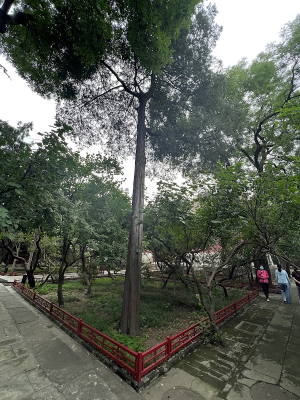 Fayuan Temple 3