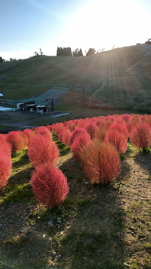 Biwako Hakodateyama 3
