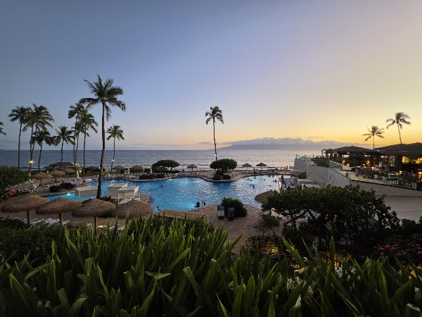 Japengo | Pacific Rim Cuisine • Sushi 3