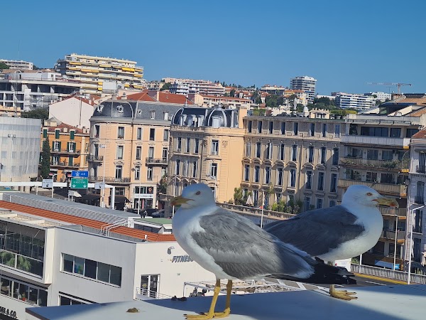 Cannes 5