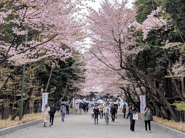 Maruyama Park 1