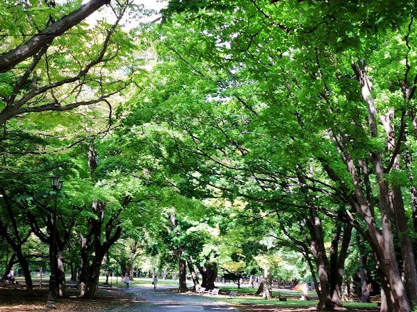 Maruyama Park 4