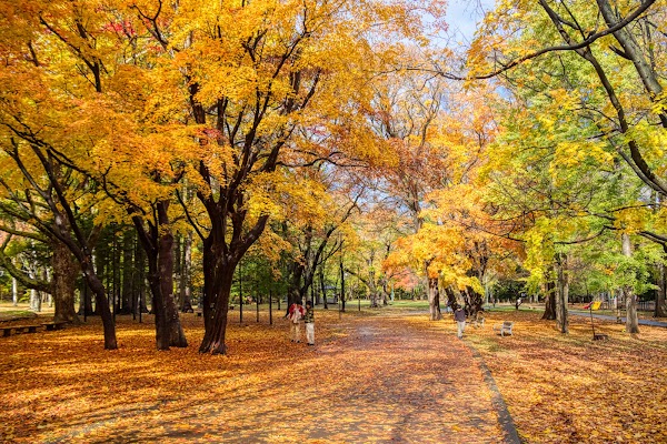 Maruyama Park 3