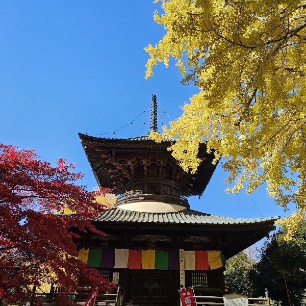 Banna-ji Temple 5