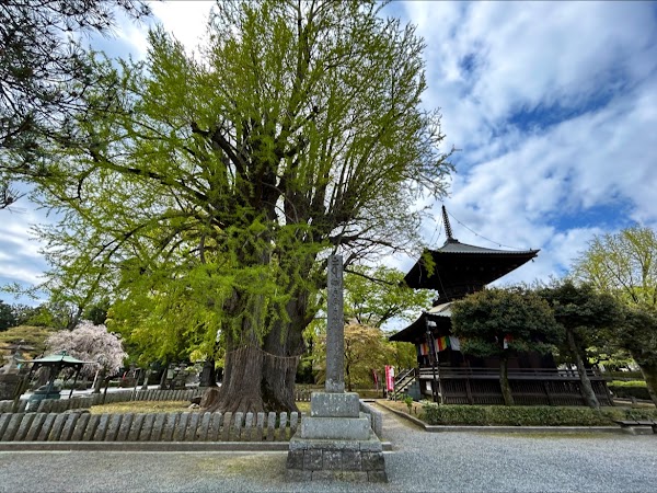 Banna-ji Temple 3