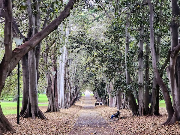 Treasury Gardens 4
