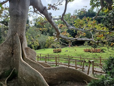 National Botanical Garden Dr. Rafael María Moscoso