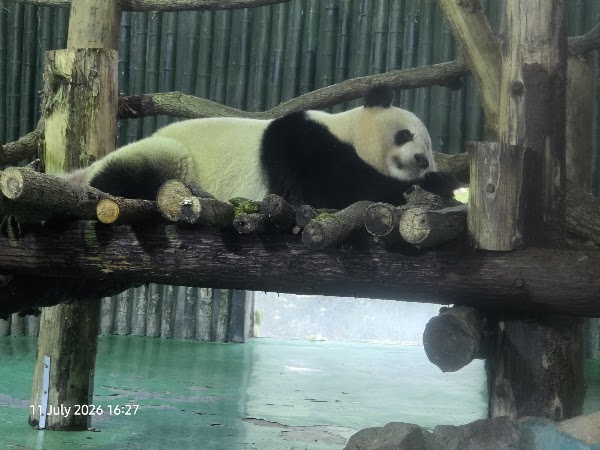 Shanghai Zoo