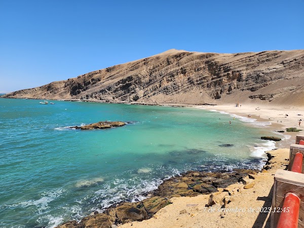 Paracas National Reserve 4