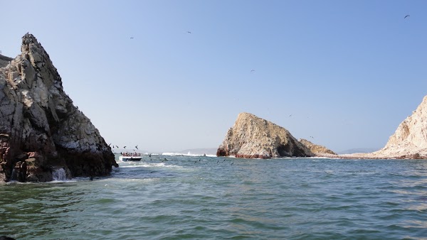 Paracas National Reserve 3