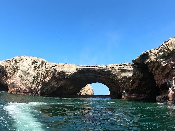 Paracas National Reserve 2