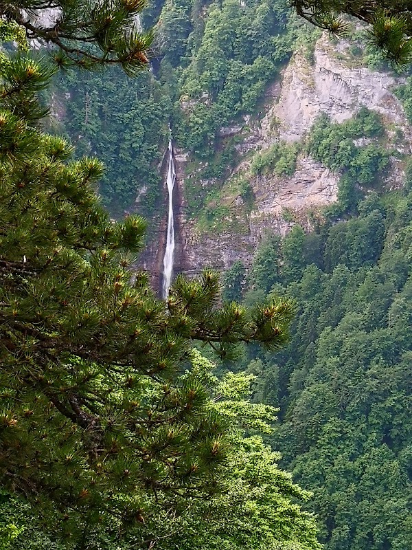 Perućica