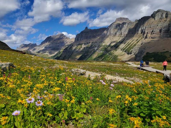 Logan Pass