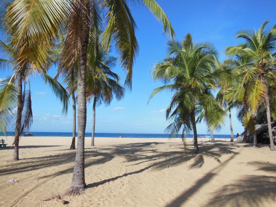 Kallady Beach 1