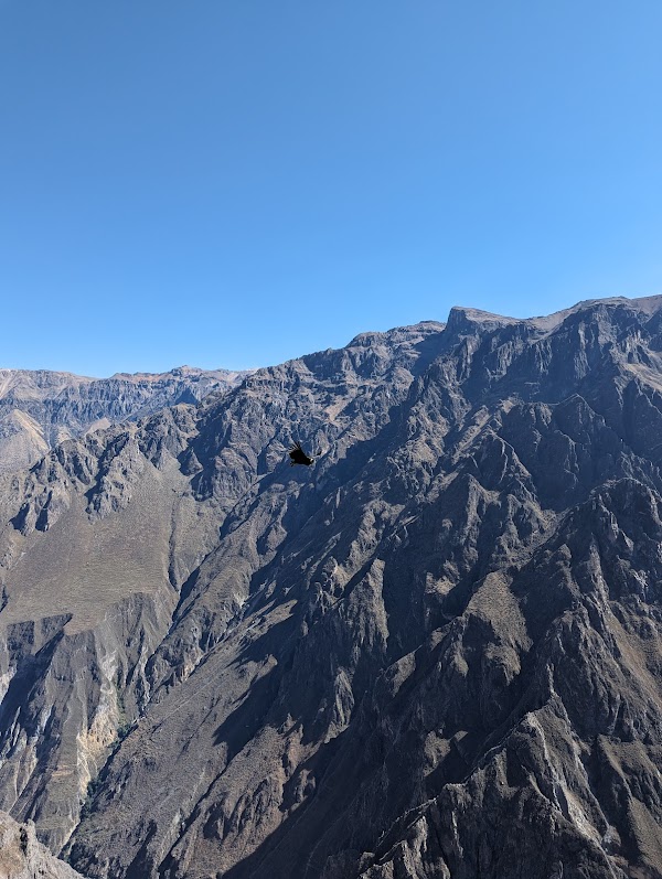 Colca Canyon 2