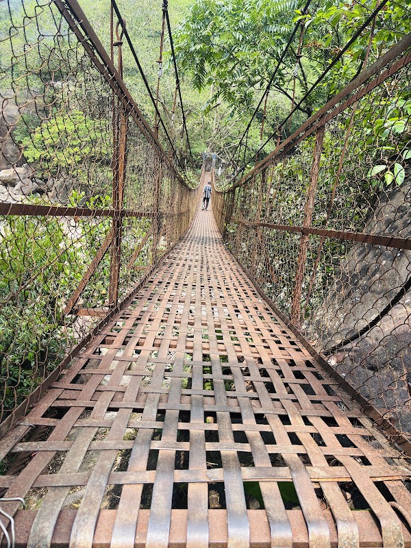 Double Decker Living Root Bridge Meghalaya 5