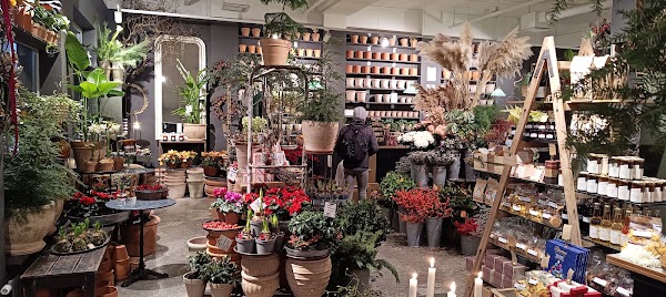 Bara Blommor Hos Hanna Grindal 5