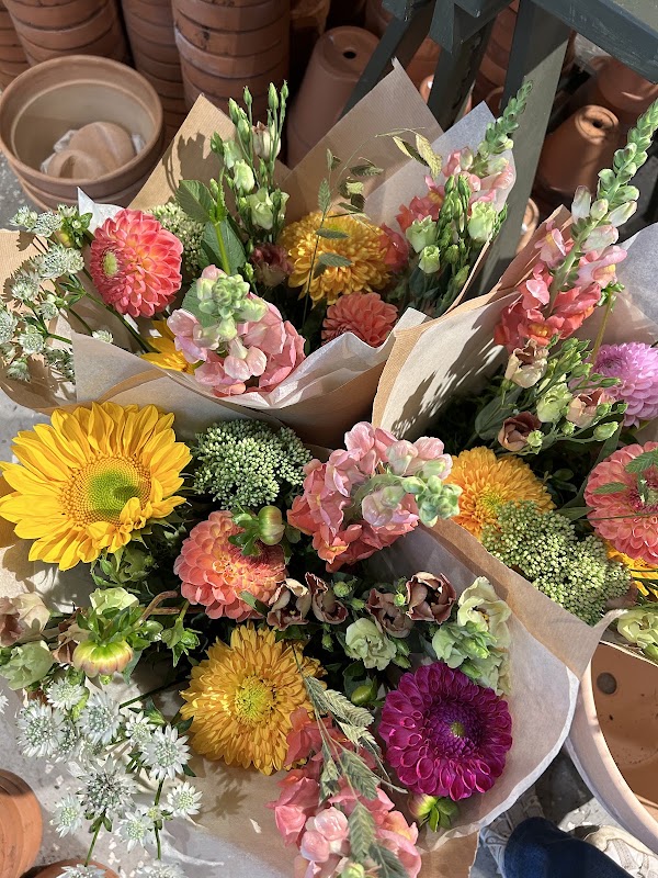 Bara Blommor Hos Hanna Grindal 4