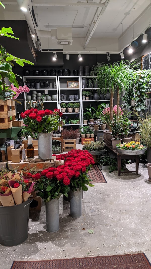 Bara Blommor Hos Hanna Grindal 2