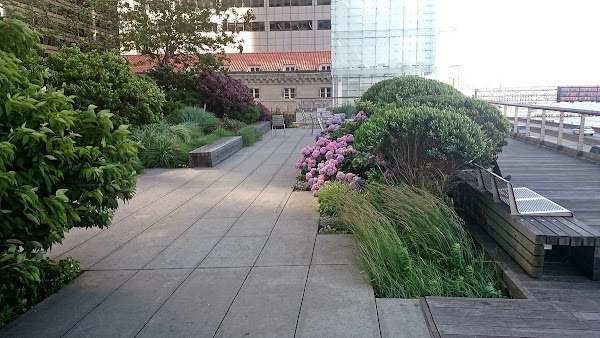 Elevated Acre 4