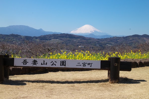 Azumayama Park 3