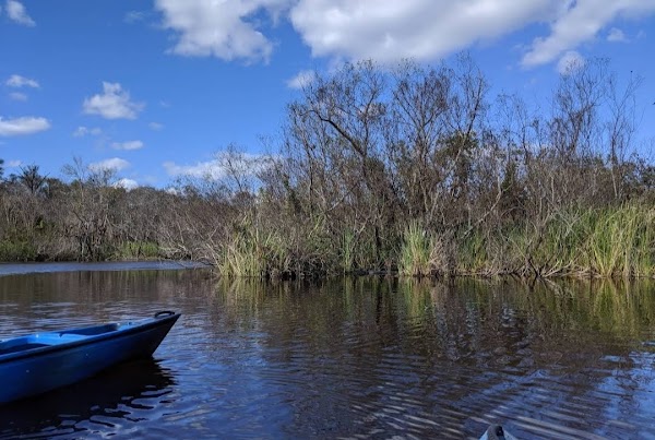 Everglades