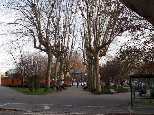 Jardim Basilio Teles