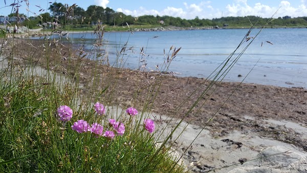 Smarholmen's bathing place 2