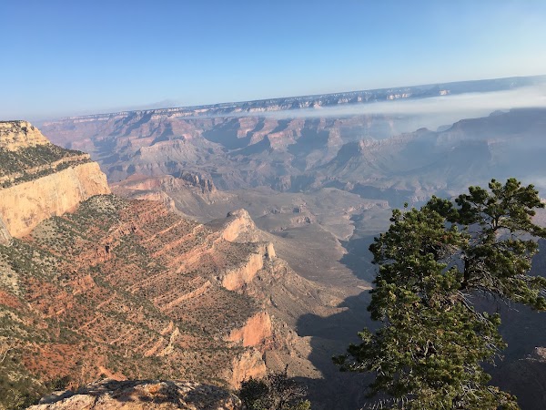 Shoshone Point Trail
