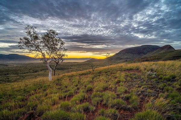 Mount Bruce 2