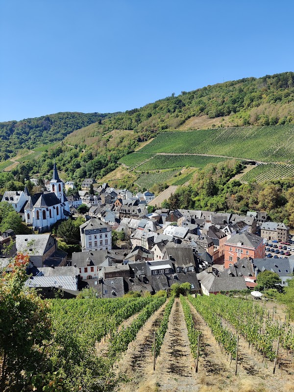 Grevenburg Castle Ruins 2