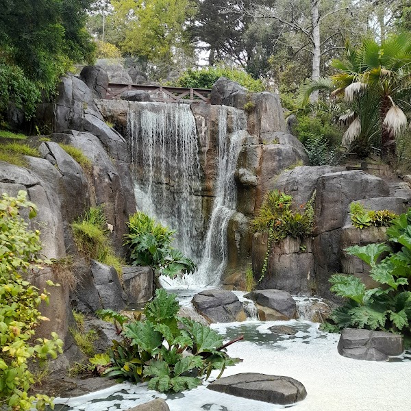 Stow Lake 5
