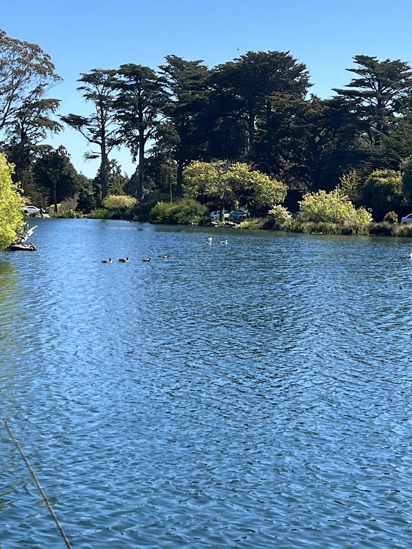Stow Lake 3