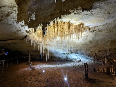 Naracoorte Caves National Park