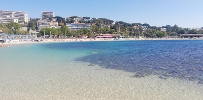 La seyne 40