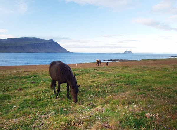 Skrúður 4