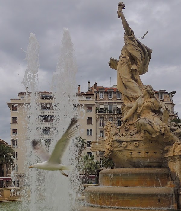 Toulon 5