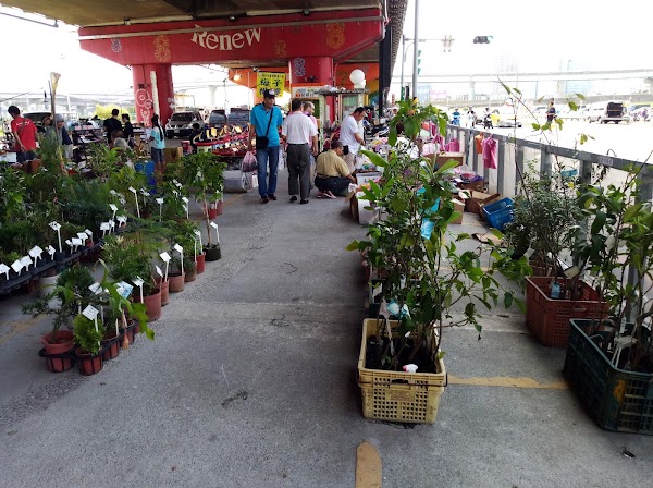 Chongxin Bridge Flea Market 5