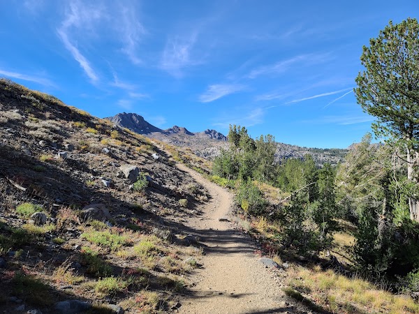 Pacific Crest National Scenic Trail