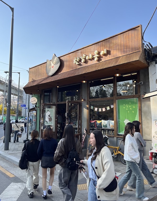Korea 41