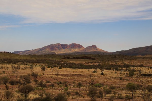 Point Howard Lookout