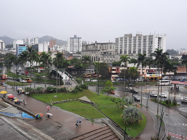 Pereira