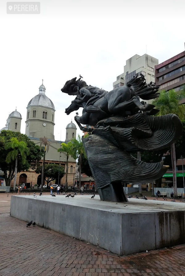 Pereira 5