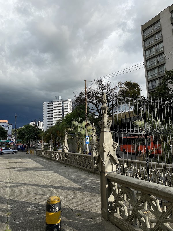Pereira 4