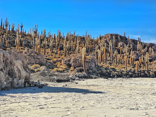 Isla Incahuasi 5