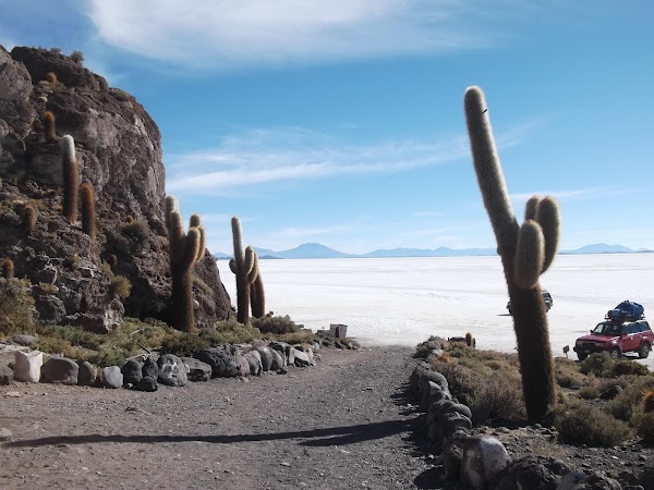 Isla Incahuasi 4